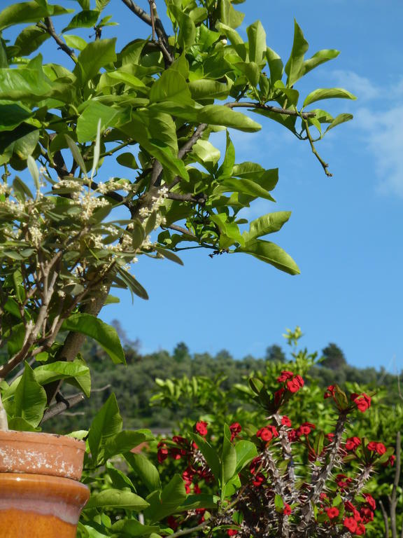 A Durmì Hotel Levanto Ngoại thất bức ảnh