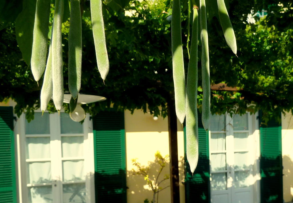 A Durmì Hotel Levanto Ngoại thất bức ảnh